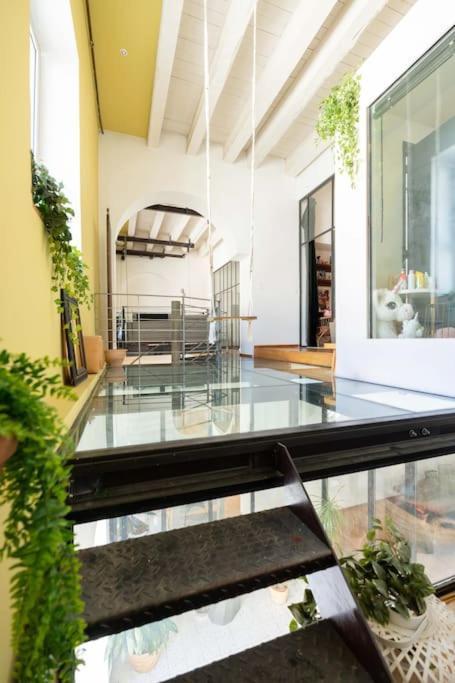 Le Loft Du Vieux-Port - St Victor Apartment มาร์กเซย ภายนอก รูปภาพ